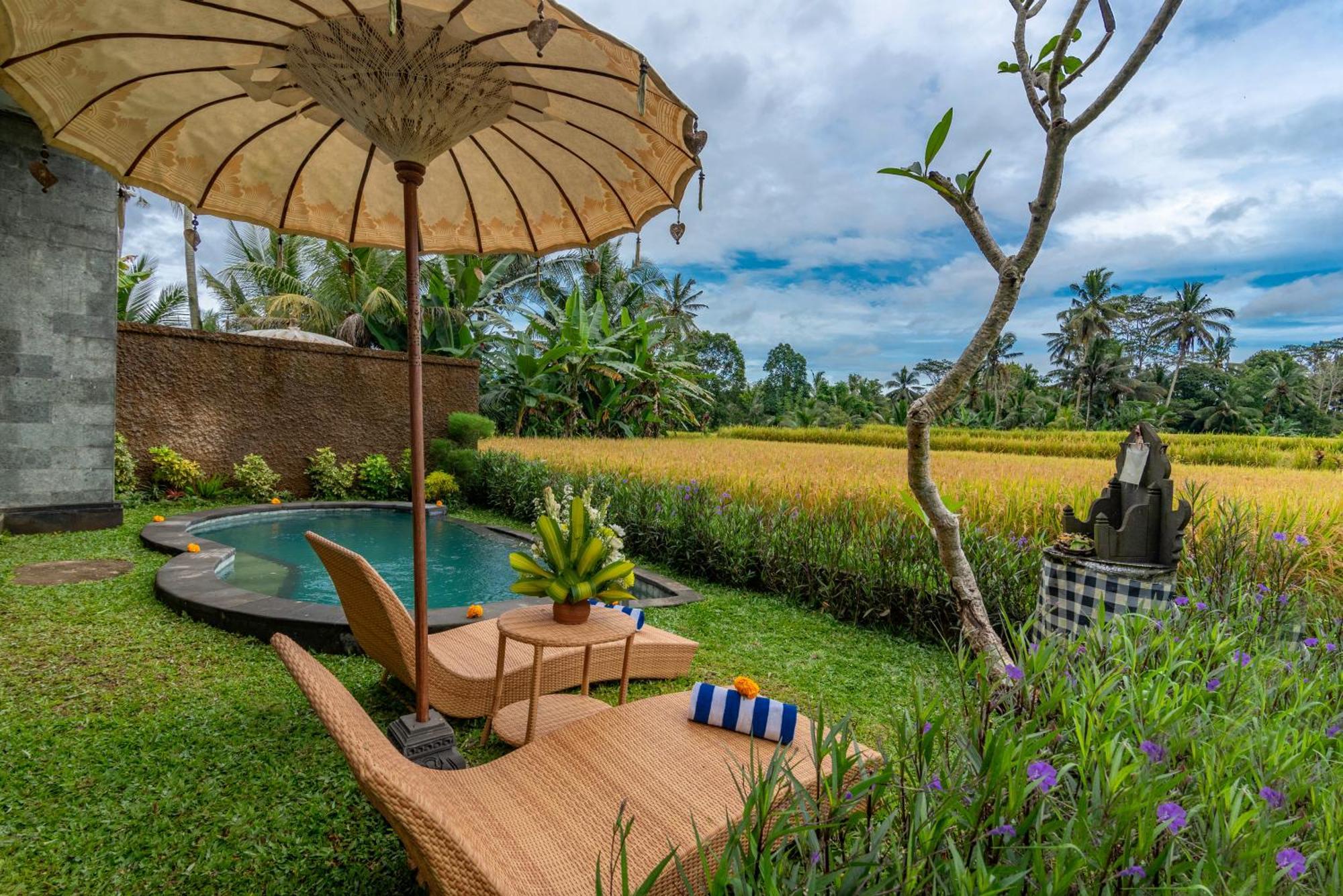 The Alus Cottage And Villa 우붓 외부 사진