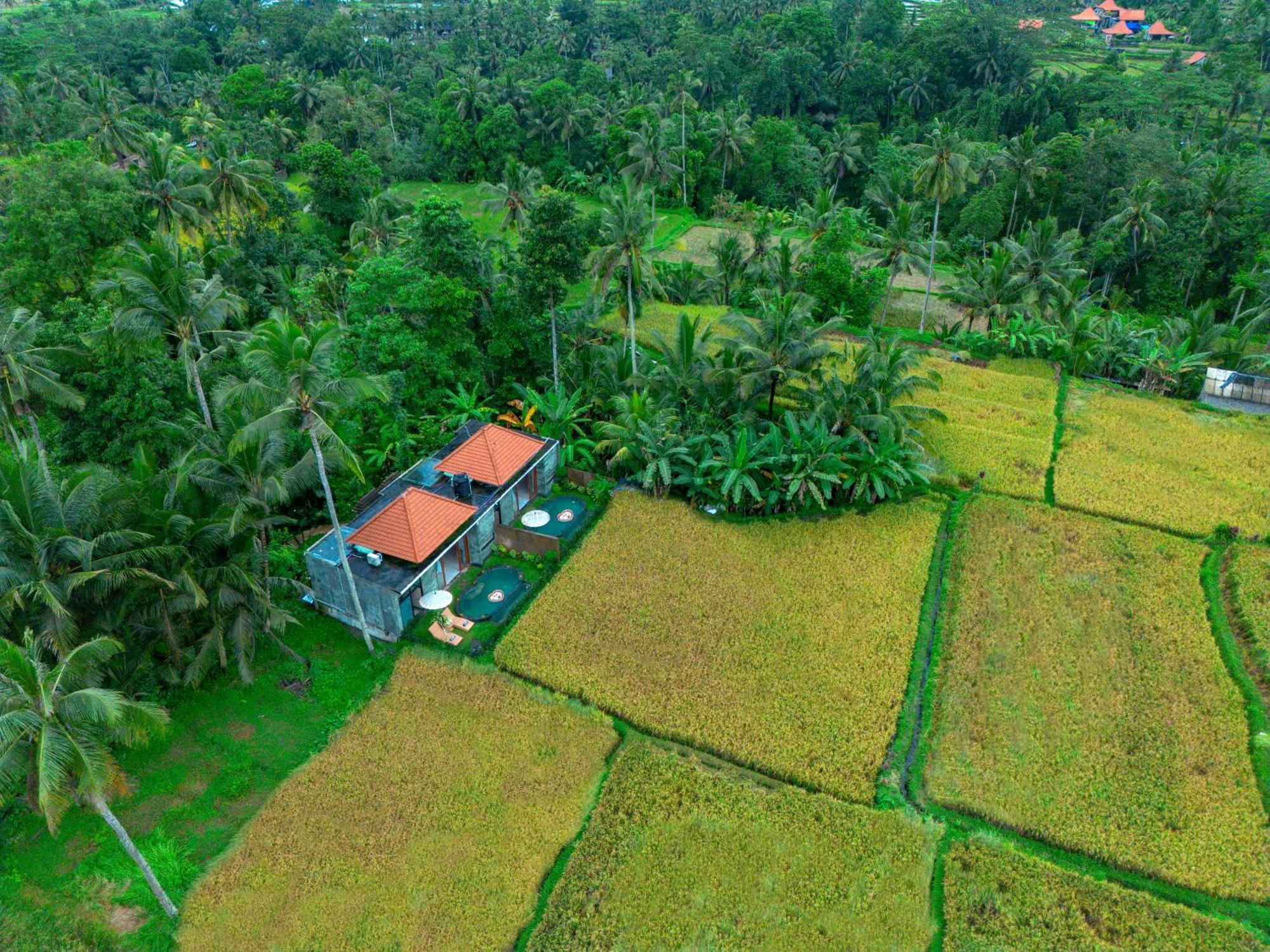 The Alus Cottage And Villa 우붓 외부 사진