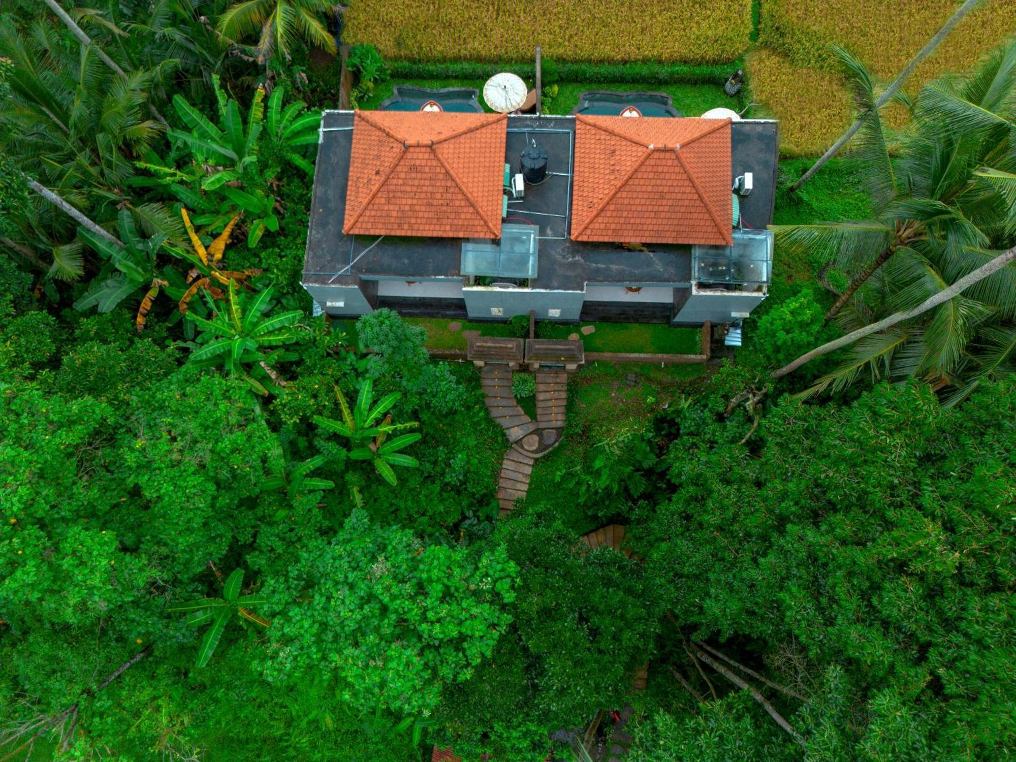 The Alus Cottage And Villa 우붓 외부 사진